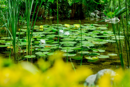 Slider image (2) Moodist Hospital